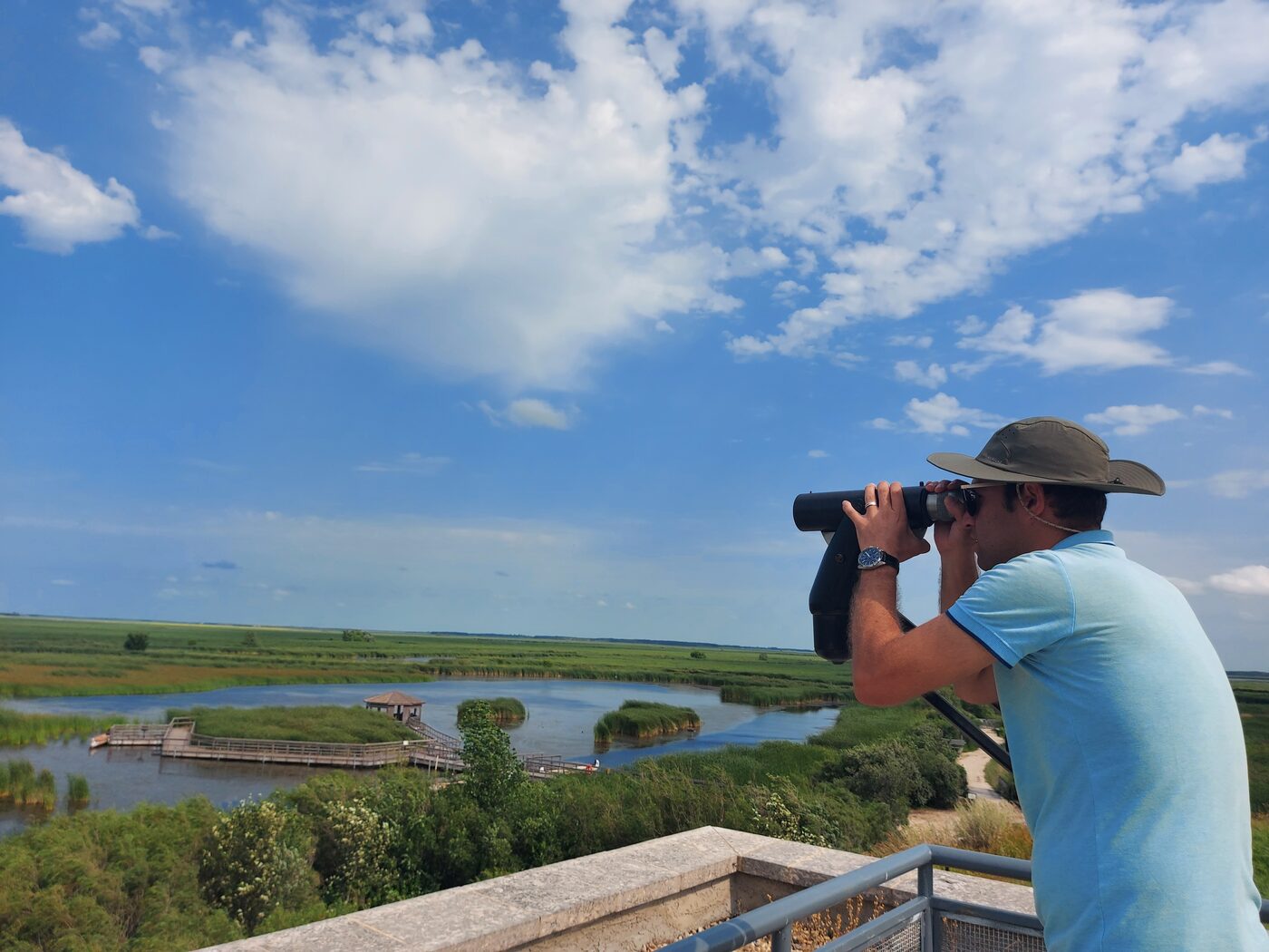 A wetland and marsh landscape viewed from an observation platform — the kind of working landscape Ekoya helps interpret.