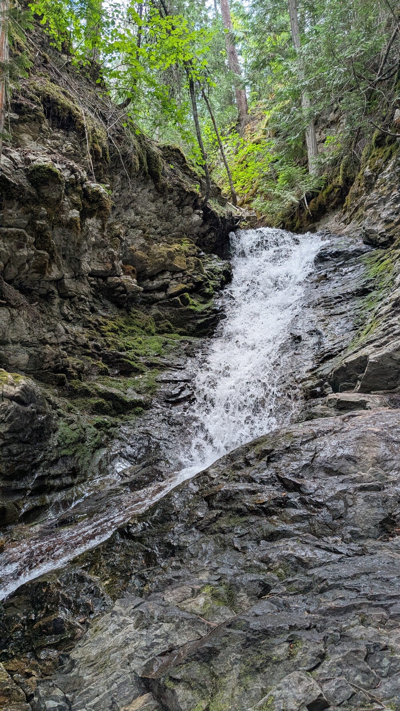 Landscape relevant to Conservation, watershed & community organizations.